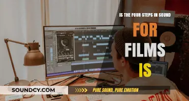 Exploring the Sonic Journey: Film Sound Design in Four Essential Steps
