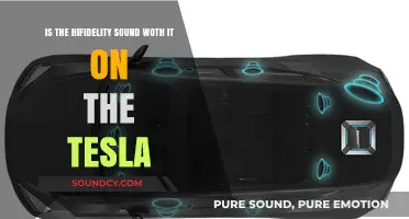 Exploring the Worth of Hi-Fidelity Sound in Tesla Vehicles