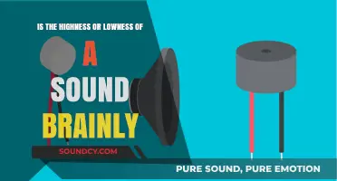 Exploring the Intricacies of Sound Perception: Highness and Lowness Unveiled