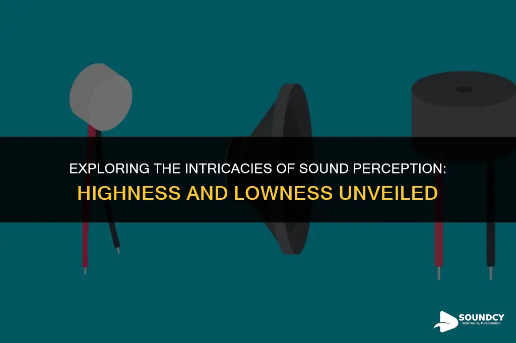 is the highness or lowness of a sound brainly