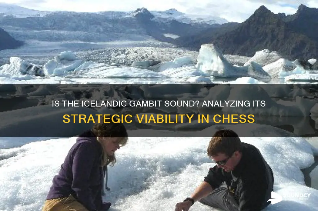 is the icelandic gambit sound