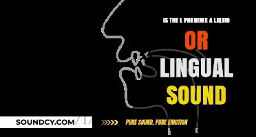 Exploring Phonetics: The L Sound - Liquid or Lingual?
