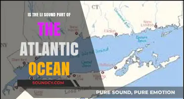 Exploring the Linguistic Depths: Is 'Li' a Part of the Atlantic?