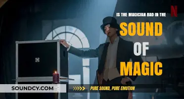 Decoding the Enigma: Is the Magician in 'The Sound of Magic' Truly Malevolent?