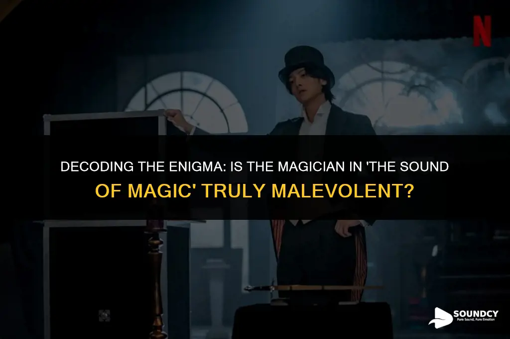 is the magician bad in the sound of magic