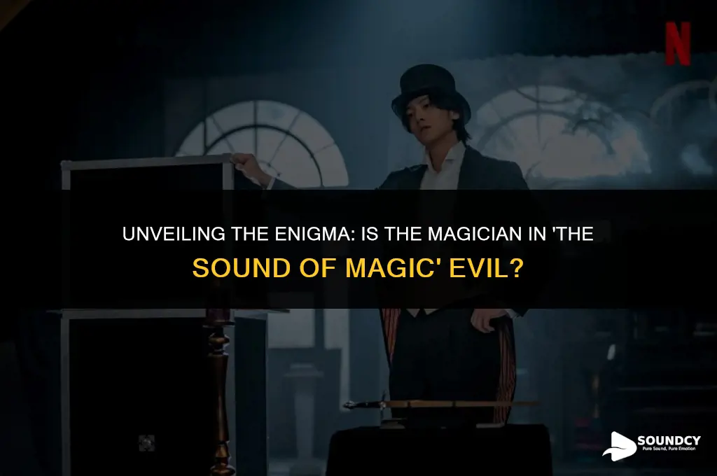 is the magician in the sound of magic evil