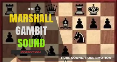 Is the Marshall Gambit Sound? A Strategic Chess Analysis