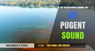 Navigating the Waters: Understanding the Ocean's Mood Exiting Puget Sound