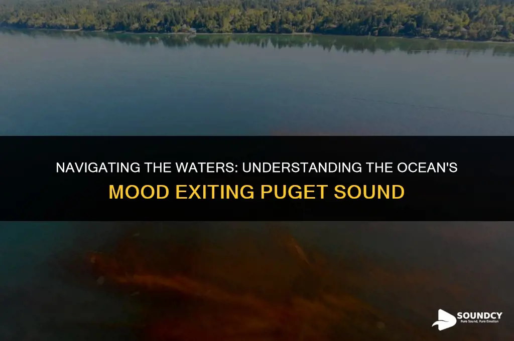 is the ocean rough coming out of pugent sound