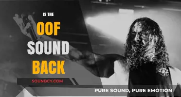 Is the Oof Sound Making a Comeback in Pop Culture?