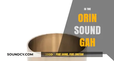 Is the Orin Sound Gah? Unraveling the Mystery Behind the Noise