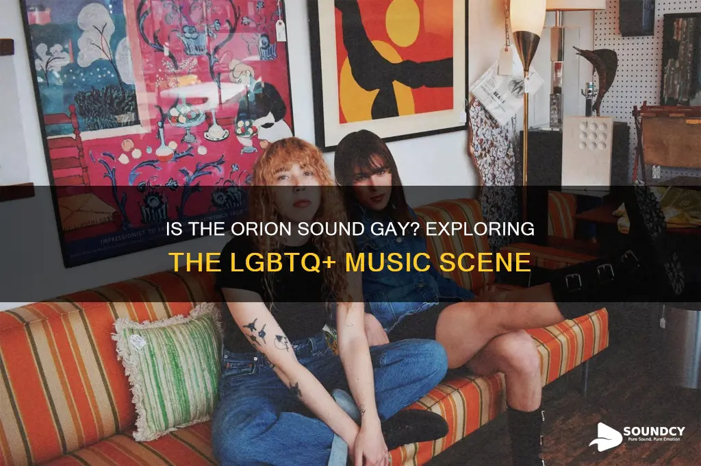 is the orion sound gay