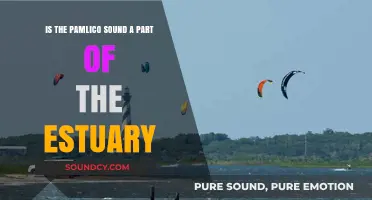 Exploring the Ecological Connection: Pamlico Sound and Estuaries