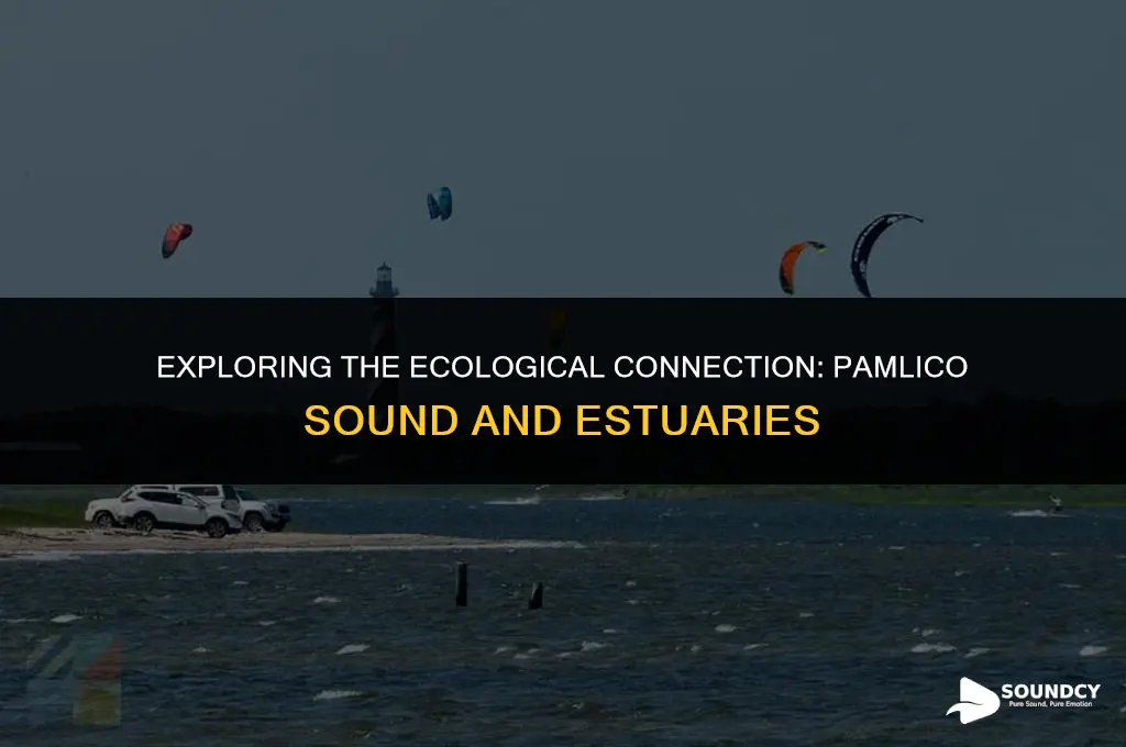 is the pamlico sound a part of the estuary