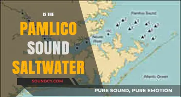 Is Pamlico Sound Saltwater? Exploring North Carolina's Unique Estuary