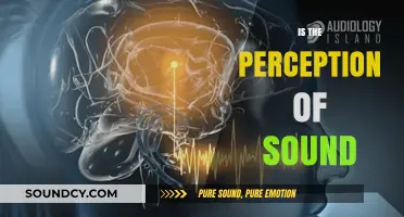 How Our Brains Interpret Sound: Unraveling the Mystery of Perception