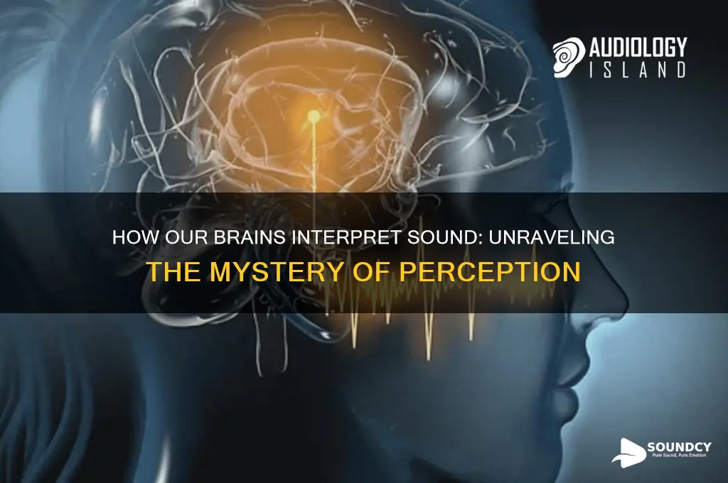 is the perception of sound