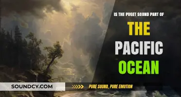 Exploring the Connection: Puget Sound and the Pacific Ocean
