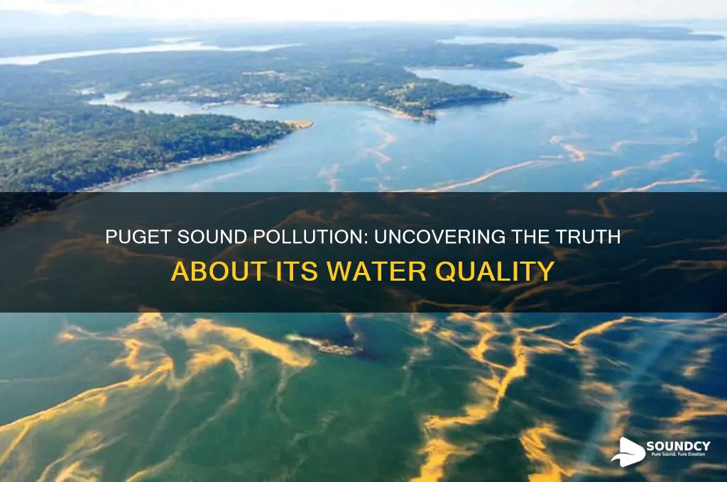 is the puget sound polluted