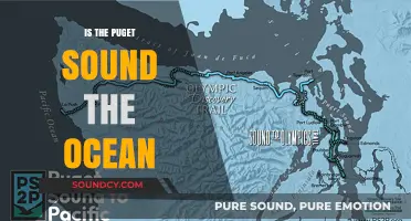 The Puget Sound: Ocean or Not?