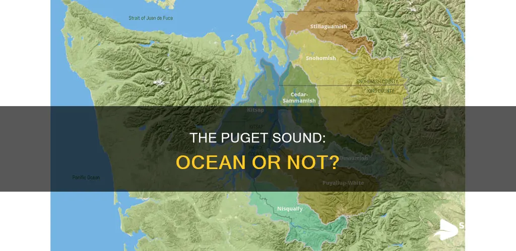 is the puget sound the ocean