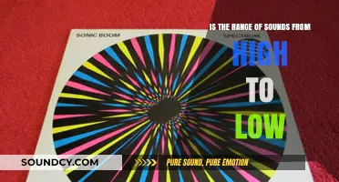 Exploring the Sonic Spectrum: From High to Low Notes