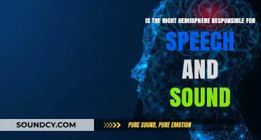 Exploring the Brain's Language Centers: Right Hemisphere's Role in Speech