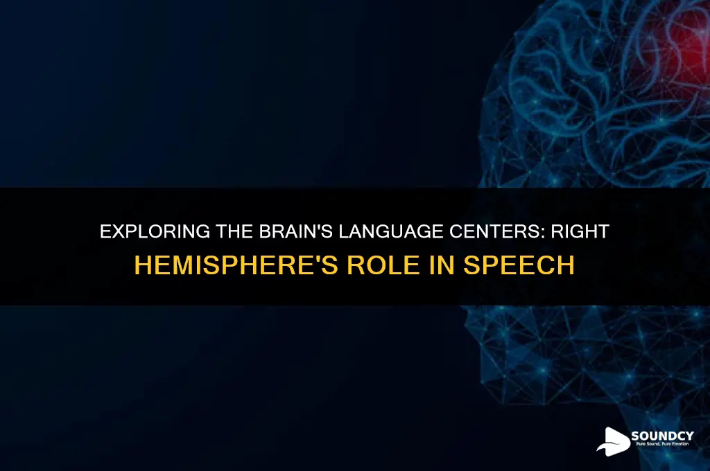 is the right hemisphere responsible for speech and sound
