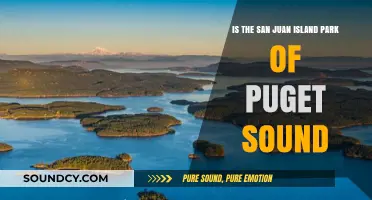 Exploring the Natural Beauty of San Juan Island in Puget Sound