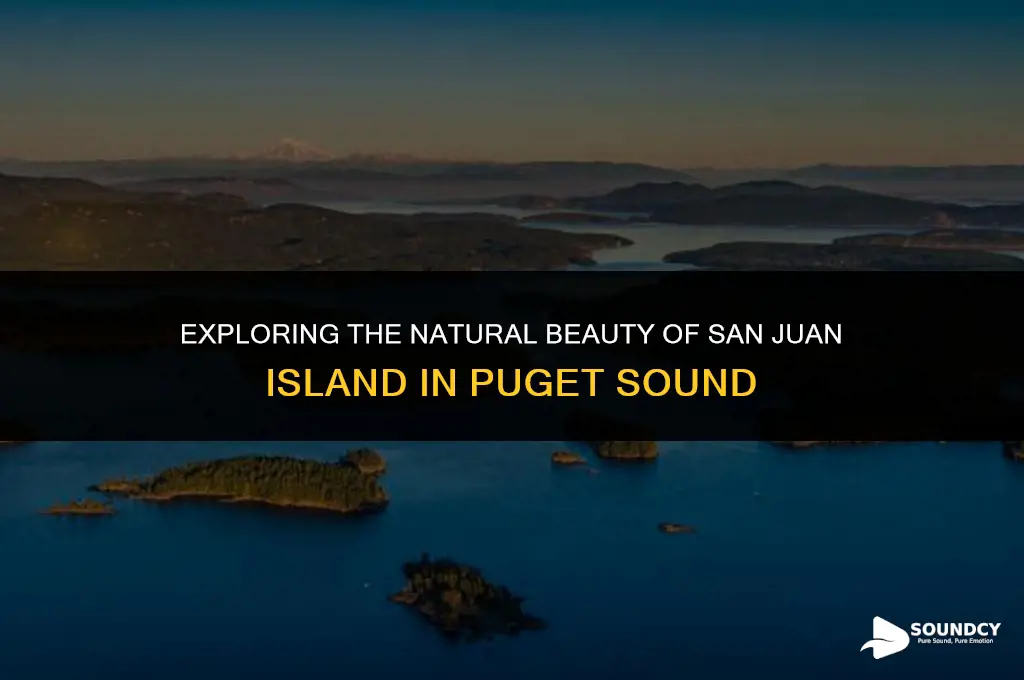is the san juan island park of puget sound