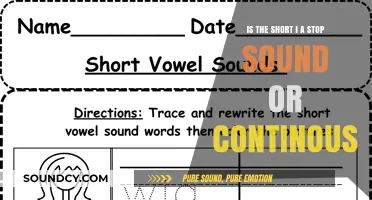 Decoding Phonetics: The Short 'i' Sound Dilemma