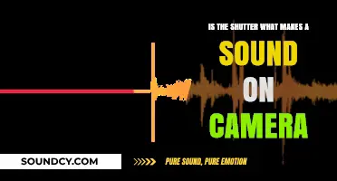 The Clicking Truth: Does the Shutter Make That Camera Sound?