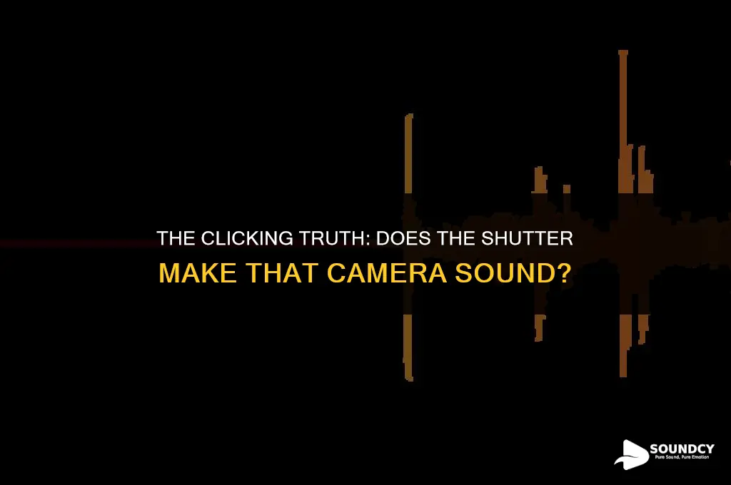 is the shutter what makes a sound on camera