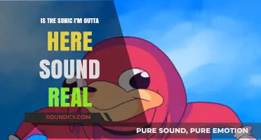 Is Sonic's 'I'm Outta Here' Sound Real or Just a Myth?