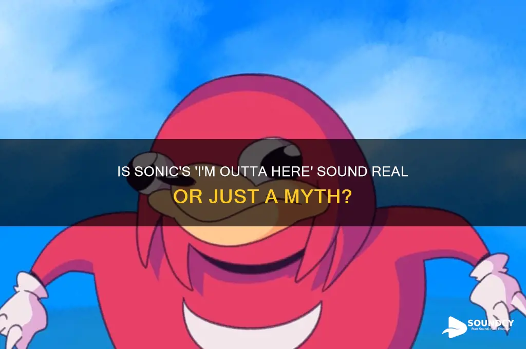 is the sonic i