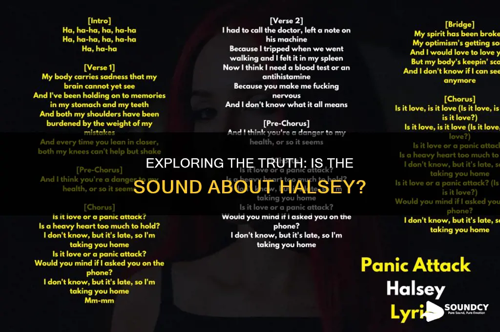 is the sound about halsey