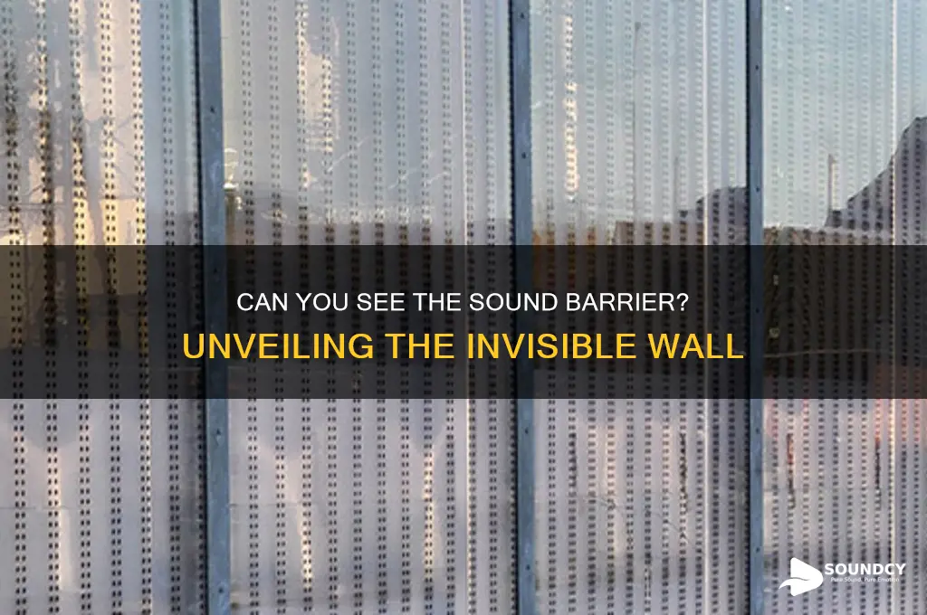 is the sound barrier visible