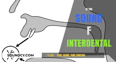 Exploring the Unique Interdental Sound of 'F' in Phonetics