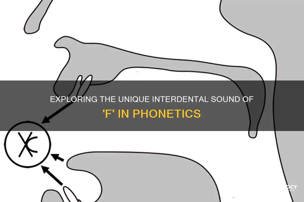 is the sound f interdental