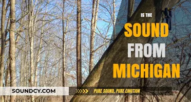 Exploring the Mystery: Is the Sound from Michigan Real?