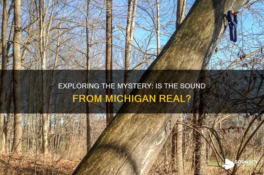 is the sound from michigan