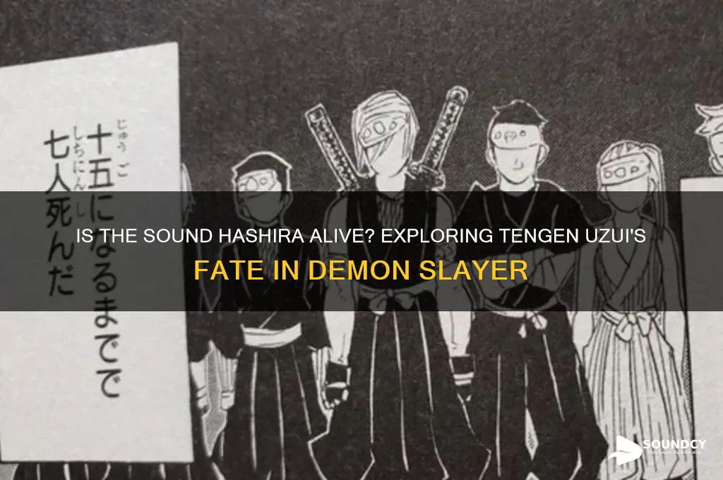is the sound hashira alive