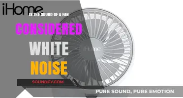 Exploring the Sonic Spectrum: Is a Fan's Hum Truly White Noise?