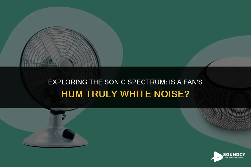 is the sound of a fan considered white noise