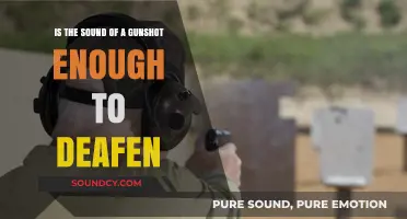 Can a Gunshot's Roar Permanently Silence Your Hearing?