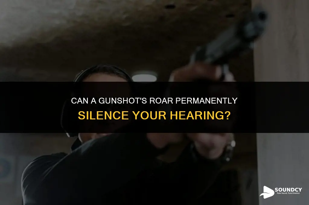 is the sound of a gunshot enough to deafen