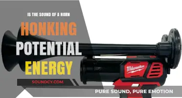 Exploring the Energetic Implications of Horn Honking Sounds