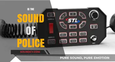 Is the Sound of Police a Signal of Safety or Fear?