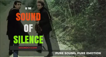 The Sound of Silence: Unraveling Its Power and Meaning in Our Lives
