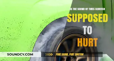 The Agonizing Screech: Understanding the Impact of Tire Noise on Our Ears